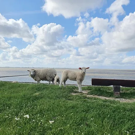 Διαμέρισμα Bi Hinrichsens